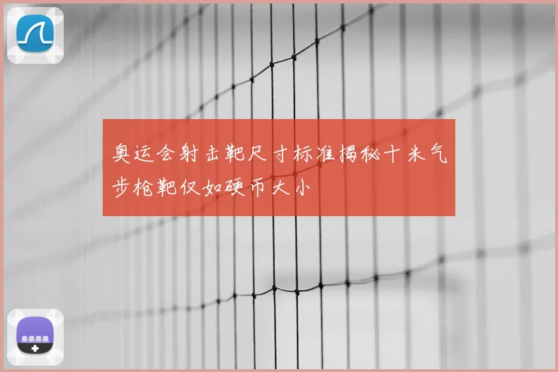 奥运会射击靶尺寸标准揭秘十米气步枪靶仅如硬币大小