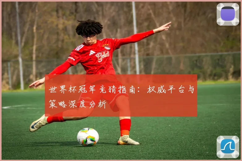 世界杯冠军竞猜指南：权威平台与策略深度分析