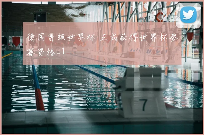 德国晋级世界杯 正式获得世界杯参赛资格_1