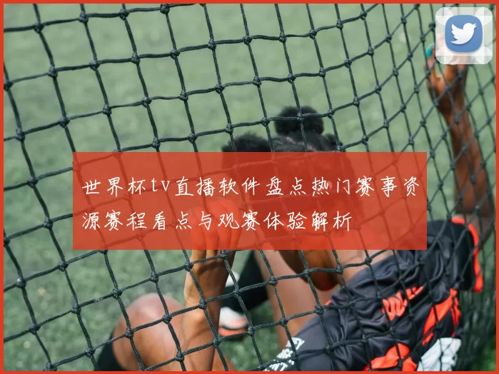 世界杯tv直播软件盘点热门赛事资源赛程看点与观赛体验解析