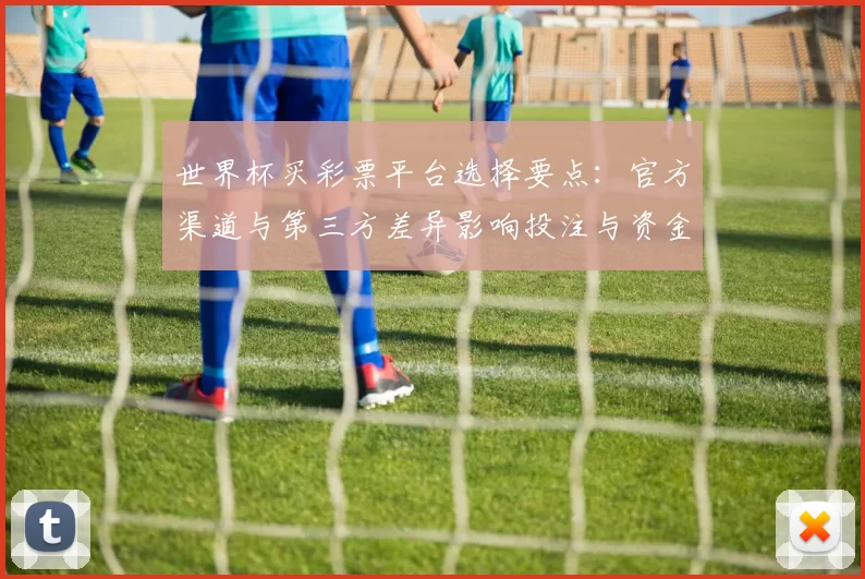 世界杯买彩票平台选择要点：官方渠道与第三方差异影响投注与资金安全