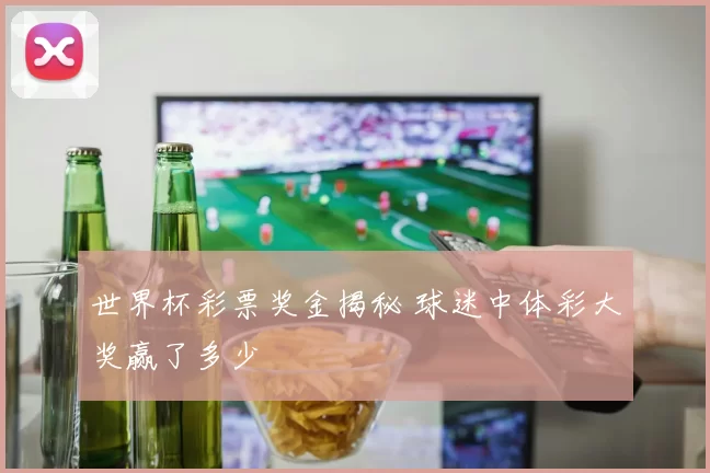 世界杯彩票奖金揭秘 球迷中体彩大奖赢了多少