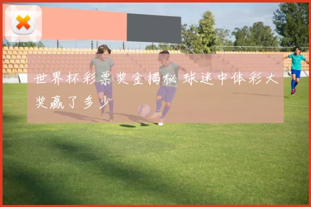 世界杯彩票奖金揭秘 球迷中体彩大奖赢了多少